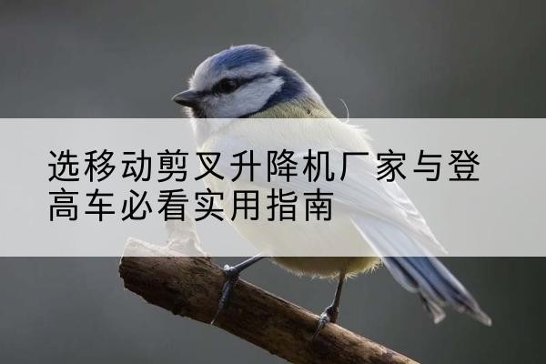 汉中电动升降机厂家-选移动剪叉升降机厂家与登高车必看实用指南