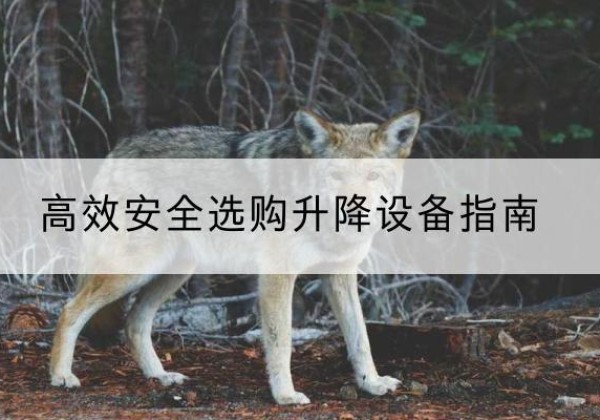 汉中升降货梯厂家推荐-*安全选购升降设备指南