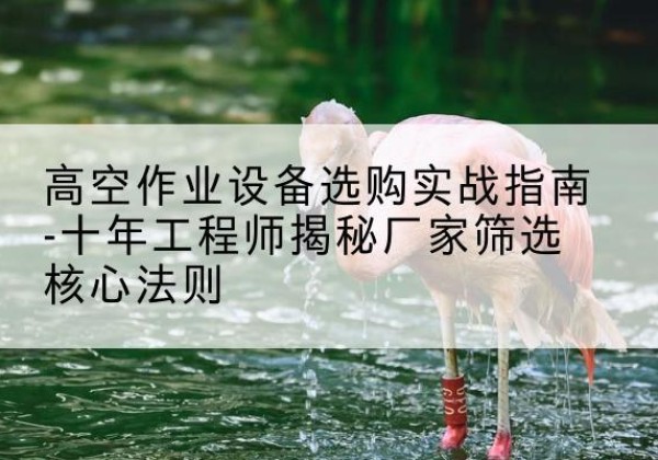 汉中剪叉式升降机厂家-高空作业设备选购实战指南-十年工程师揭秘厂家筛选核心法则